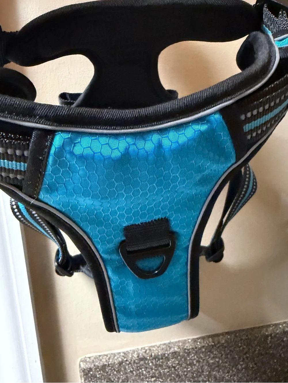 NWT no- pull Dog harness and leash (Large) in blue. Never used. 5 ft. Leash